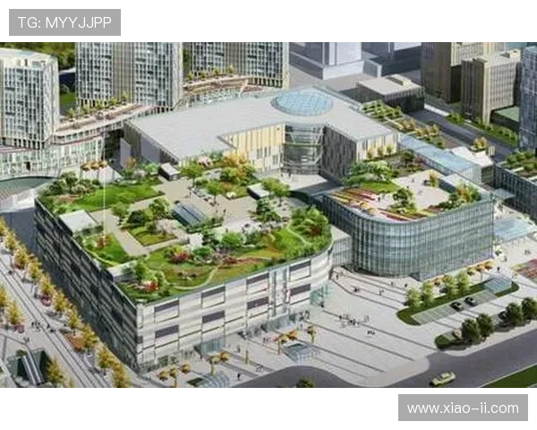 乐天国际：探索全球购物新体验的魅力之旅