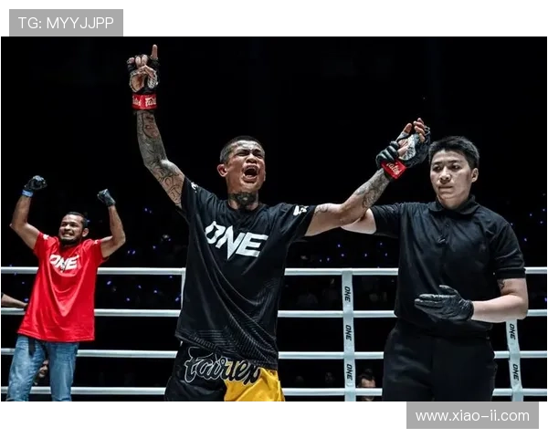 One FC格斗之夜：热血直播，巅峰对决震撼上演！